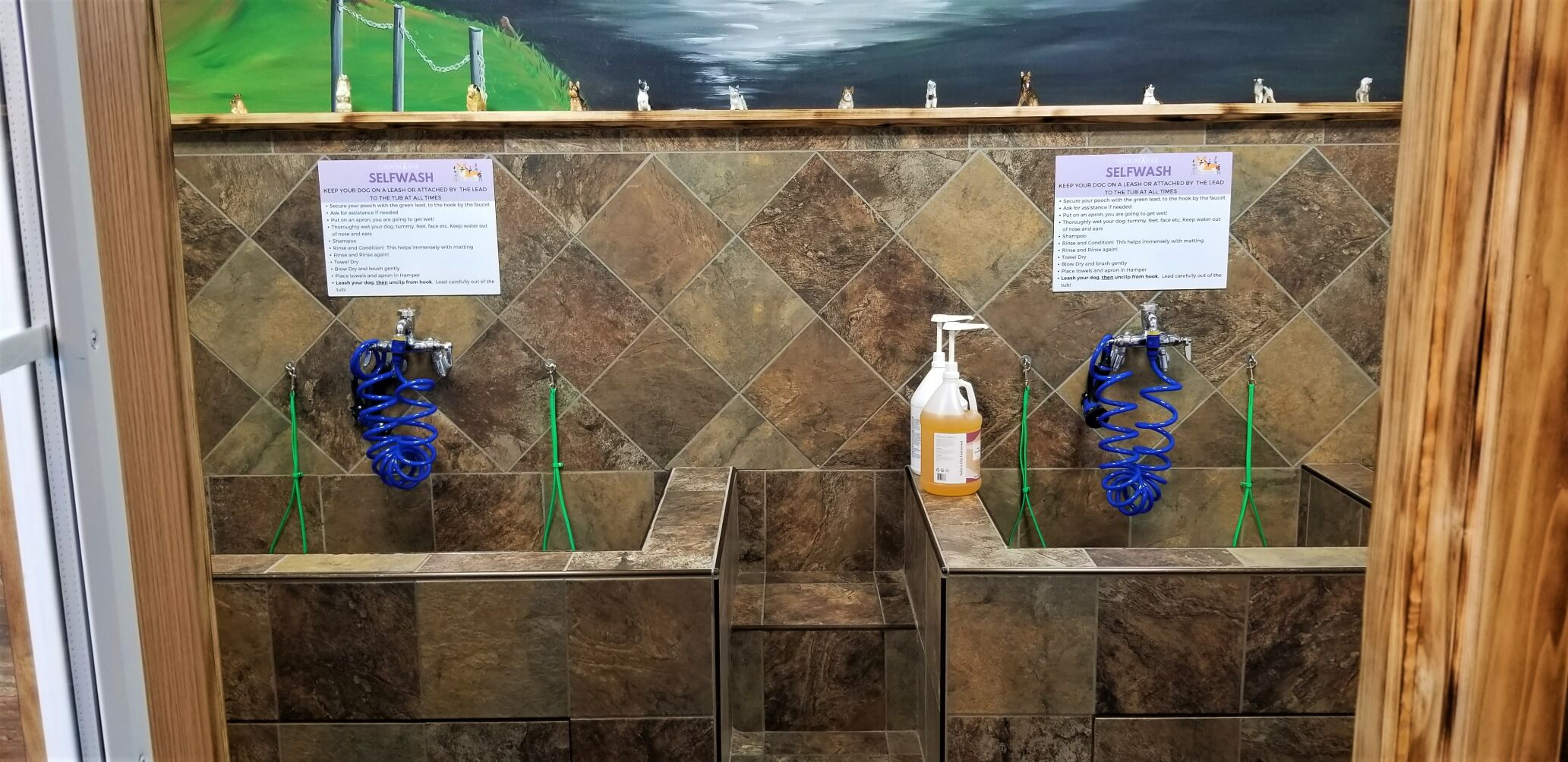 EarthWise self-wash stations